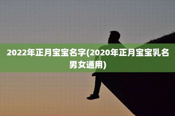2022年正月宝宝名字(2020年正月宝宝乳名男女通用)