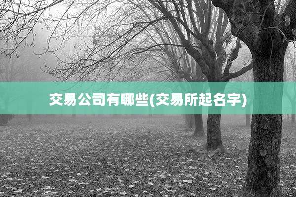 交易公司有哪些(交易所起名字)