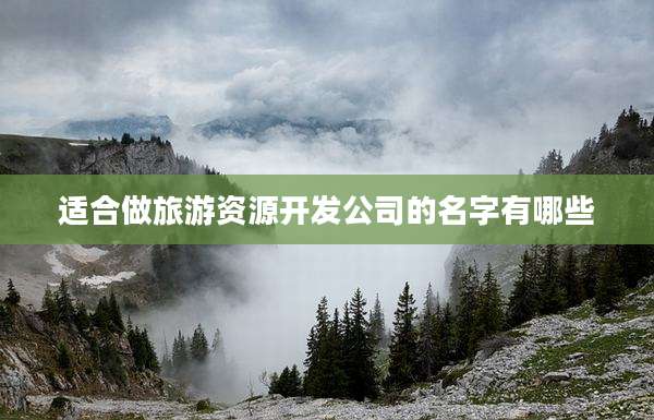 适合做旅游资源开发公司的名字有哪些