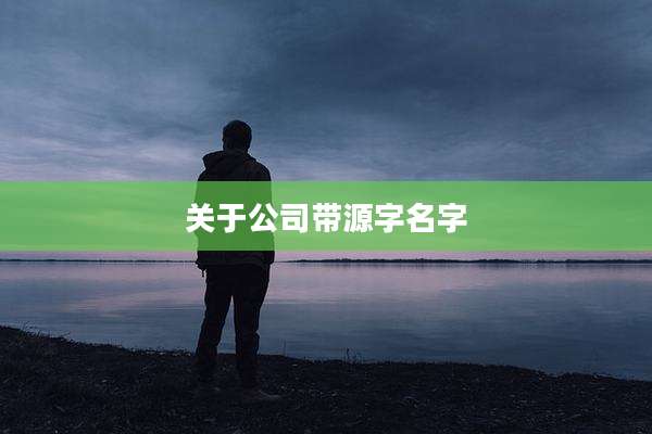 关于公司带源字名字