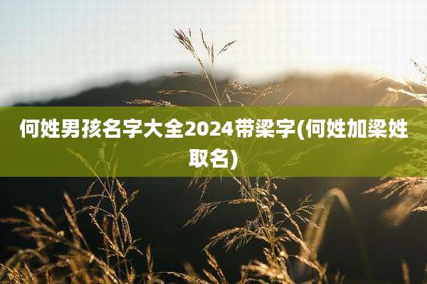 何姓男孩名字大全2024带梁字(何姓加梁姓取名)