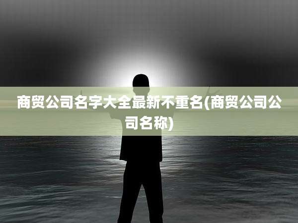 商贸公司名字大全最新不重名(商贸公司公司名称)