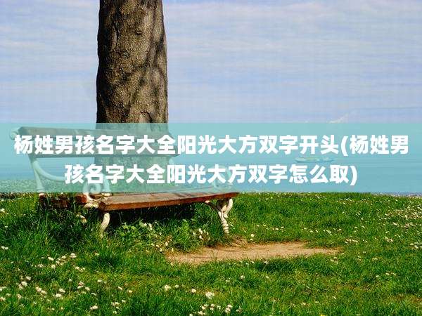 杨姓男孩名字大全阳光大方双字开头(杨姓男孩名字大全阳光大方双字怎么取)