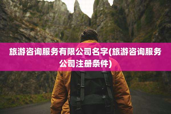 旅游咨询服务有限公司名字(旅游咨询服务公司注册条件)