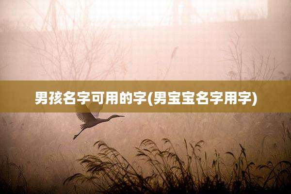 男孩名字可用的字(男宝宝名字用字)