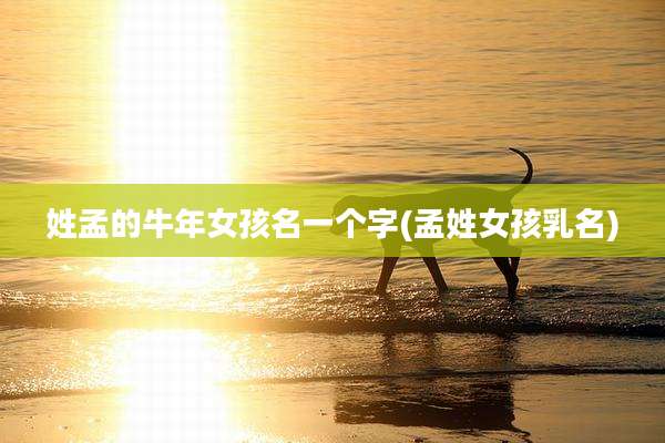 姓孟的牛年女孩名一个字(孟姓女孩乳名)