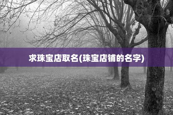 求珠宝店取名(珠宝店铺的名字)