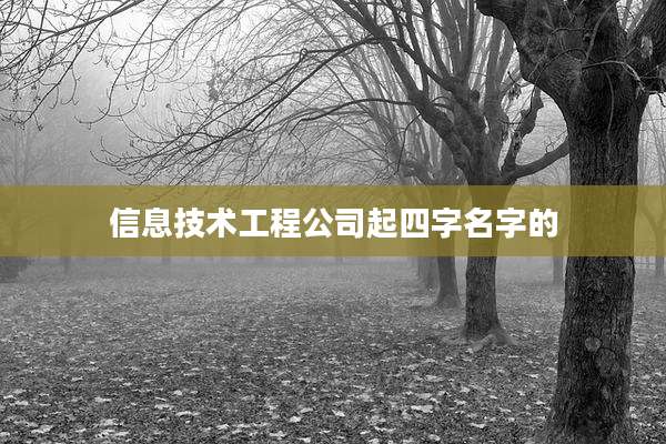信息技术工程公司起四字名字的