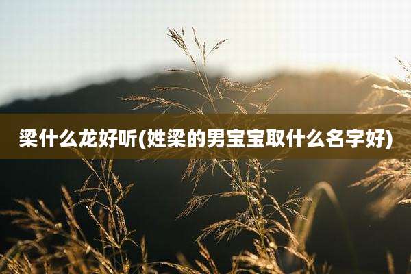 梁什么龙好听(姓梁的男宝宝取什么名字好)