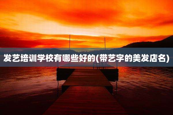 发艺培训学校有哪些好的(带艺字的美发店名)