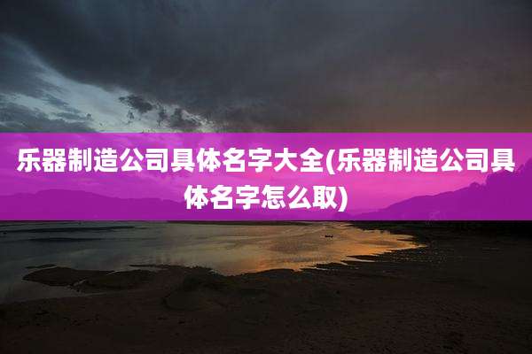 乐器制造公司具体名字大全(乐器制造公司具体名字怎么取)