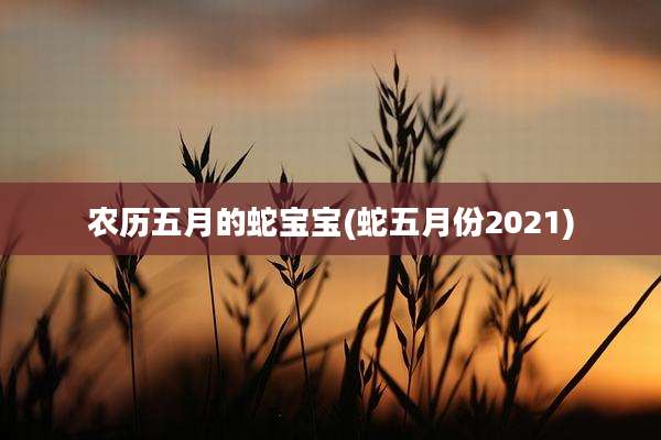 农历五月的蛇宝宝(蛇五月份2021)