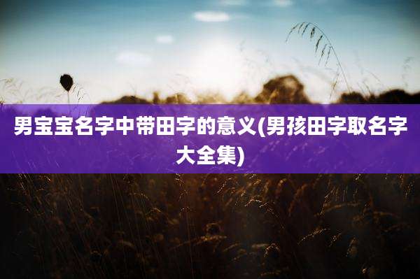 男宝宝名字中带田字的意义(男孩田字取名字大全集)