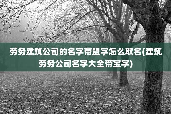 劳务建筑公司的名字带盟字怎么取名(建筑劳务公司名字大全带宝字)