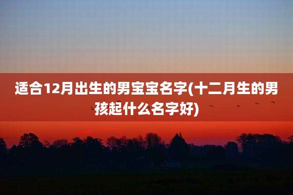 适合12月出生的男宝宝名字(十二月生的男孩起什么名字好)