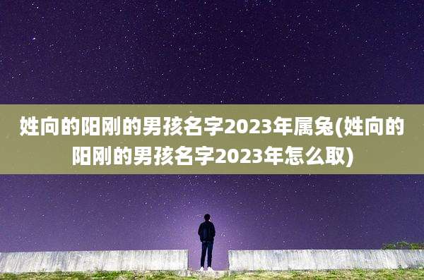 姓向的阳刚的男孩名字2023年属兔(姓向的阳刚的男孩名字2023年怎么取)