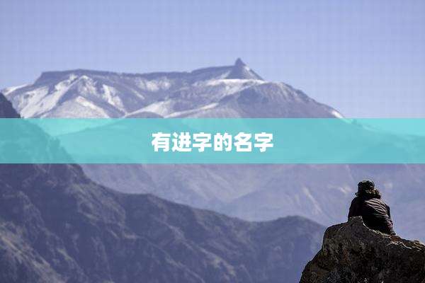 有进字的名字