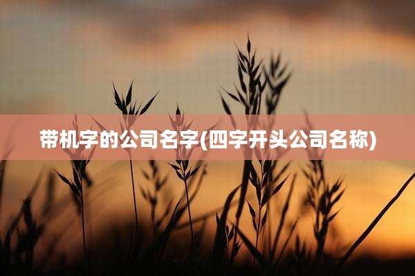 带机字的公司名字(四字开头公司名称)