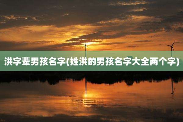洪字辈男孩名字(姓洪的男孩名字大全两个字)