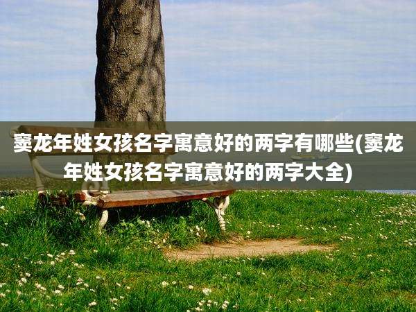窦龙年姓女孩名字寓意好的两字有哪些(窦龙年姓女孩名字寓意好的两字大全)