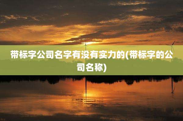 带标字公司名字有没有实力的(带标字的公司名称)