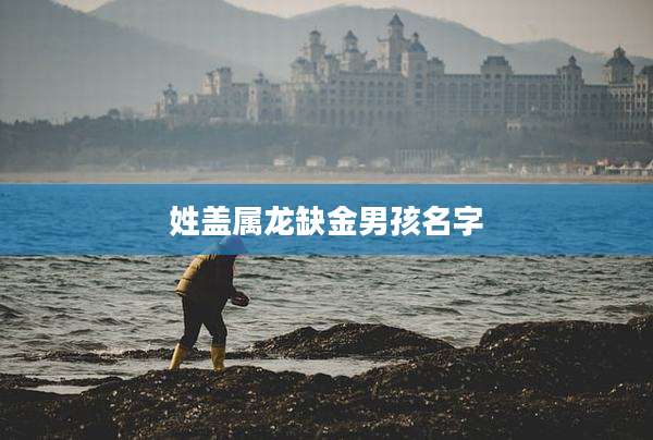 姓盖属龙缺金男孩名字