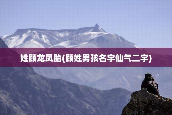 姓顾龙凤胎(顾姓男孩名字仙气二字)