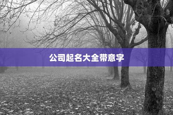 公司起名大全带意字