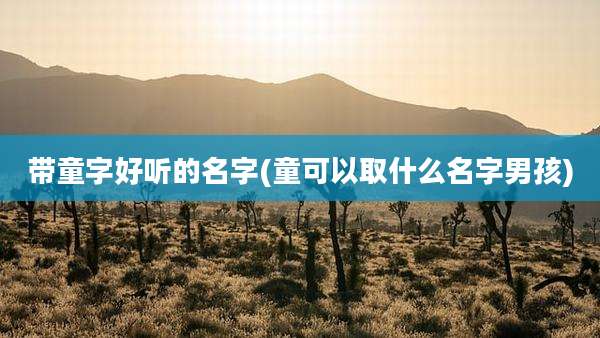 带童字好听的名字(童可以取什么名字男孩)