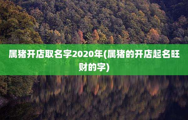 属猪开店取名字2020年(属猪的开店起名旺财的字)