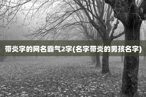 带炎字的网名霸气2字(名字带炎的男孩名字)