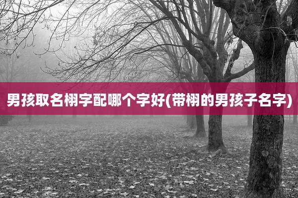 男孩取名栩字配哪个字好(带栩的男孩子名字)