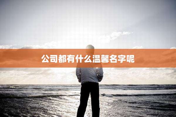 公司都有什么温馨名字呢