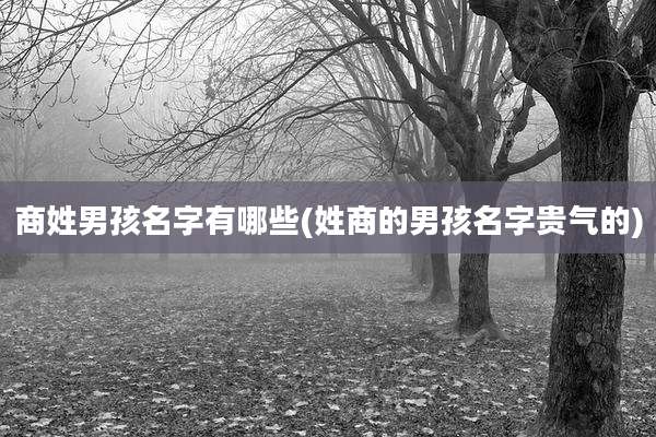 商姓男孩名字有哪些(姓商的男孩名字贵气的)