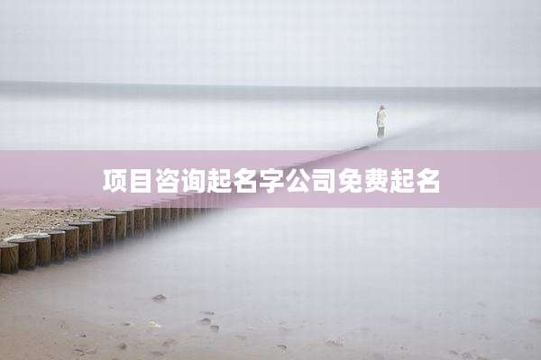 项目咨询起名字公司免费起名