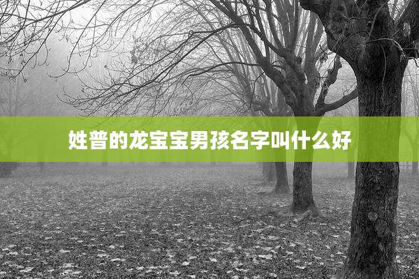 姓普的龙宝宝男孩名字叫什么好