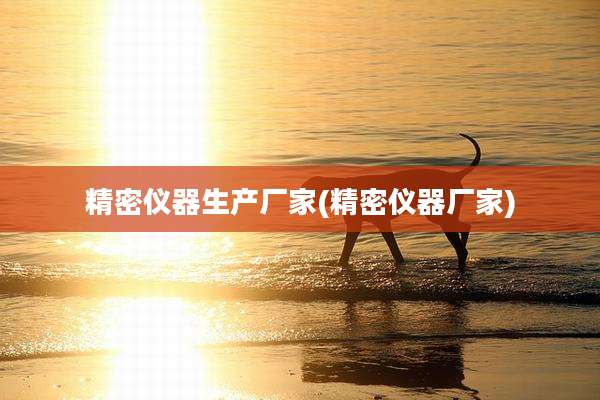 精密仪器生产厂家(精密仪器厂家)