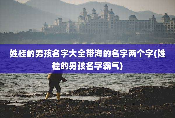 姓桂的男孩名字大全带海的名字两个字(姓桂的男孩名字霸气)