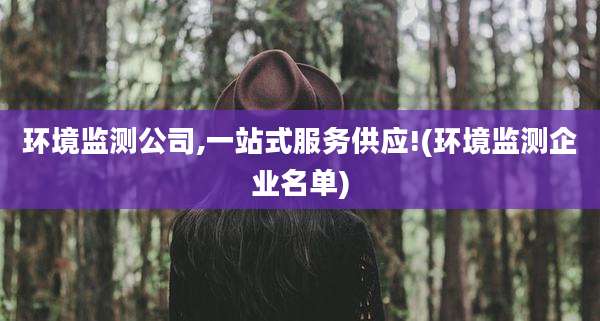 环境监测公司,一站式服务供应!(环境监测企业名单)