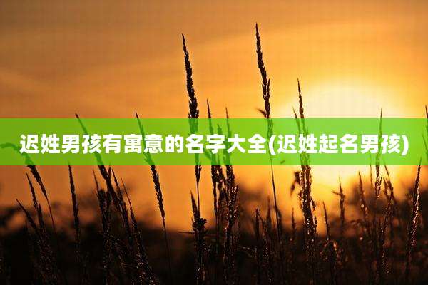 迟姓男孩有寓意的名字大全(迟姓起名男孩)