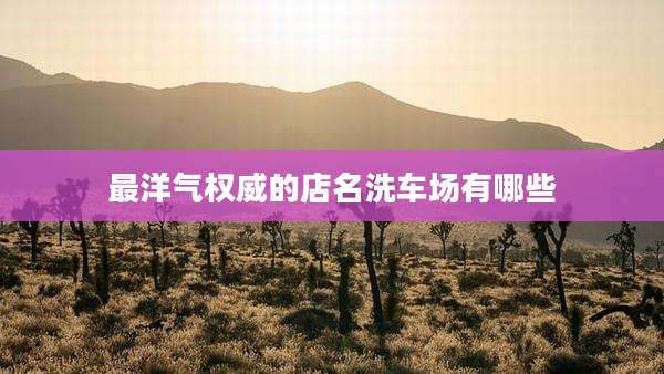 最洋气权威的店名洗车场有哪些
