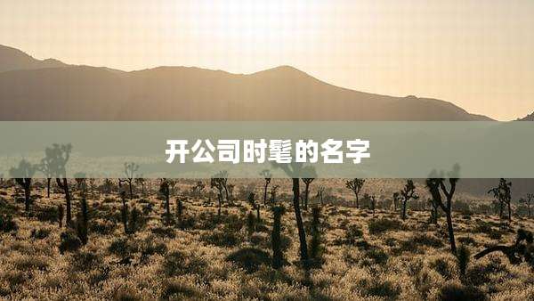 开公司时髦的名字