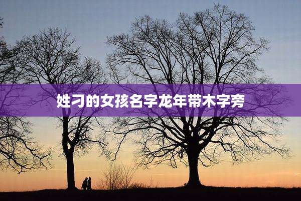 姓刁的女孩名字龙年带木字旁
