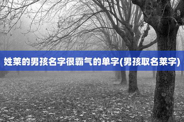 姓莱的男孩名字很霸气的单字(男孩取名莱字)