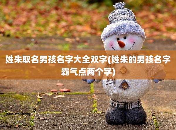 姓朱取名男孩名字大全双字(姓朱的男孩名字霸气点两个字)
