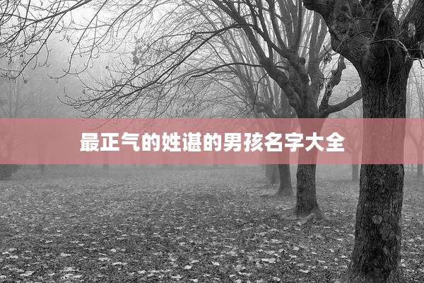 最正气的姓谌的男孩名字大全