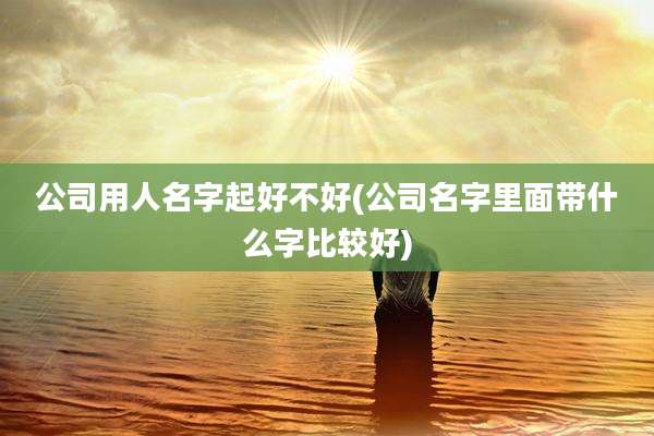 公司用人名字起好不好(公司名字里面带什么字比较好)