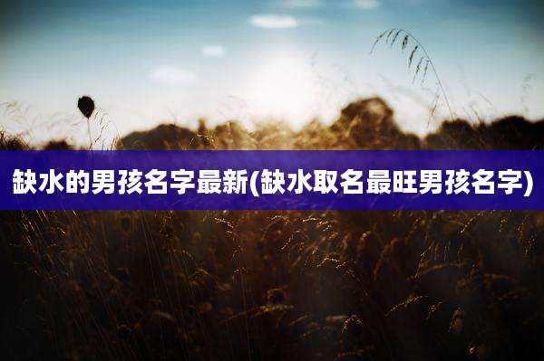 缺水的男孩名字最新(缺水取名最旺男孩名字)