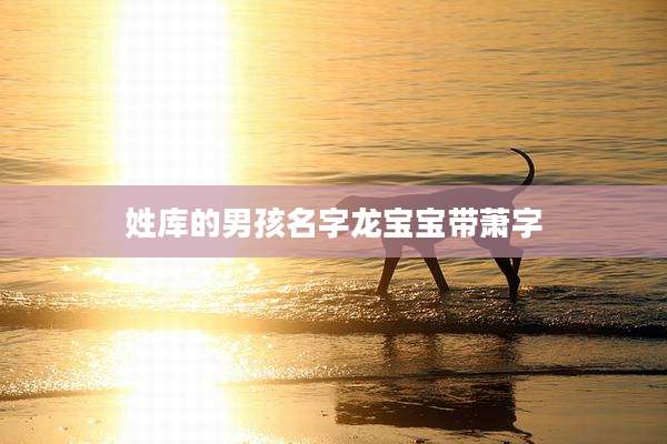 姓库的男孩名字龙宝宝带萧字