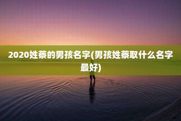 2020姓蔡的男孩名字(男孩姓蔡取什么名字最好)